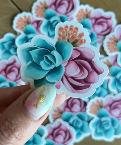 Succulent Pink/Blue Sticker