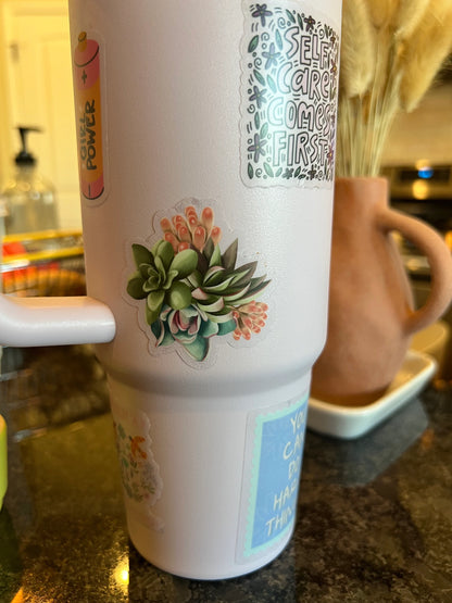 Succulent Green Sticker