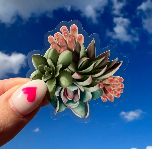 Succulent Green Sticker