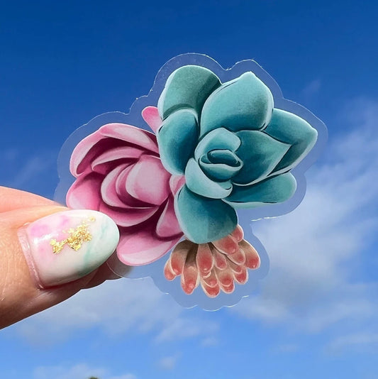 Succulent Pink/Blue Sticker