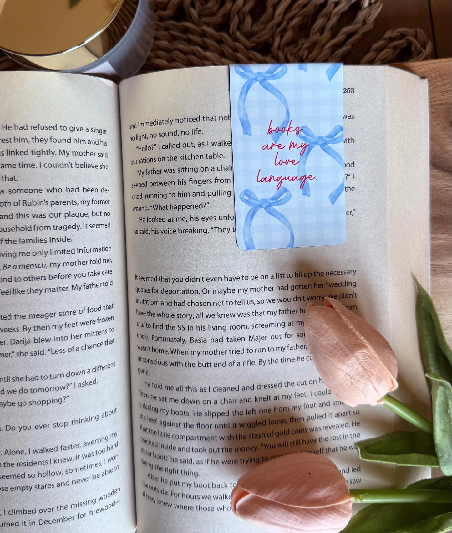 Books Are Magnetic Bookmark